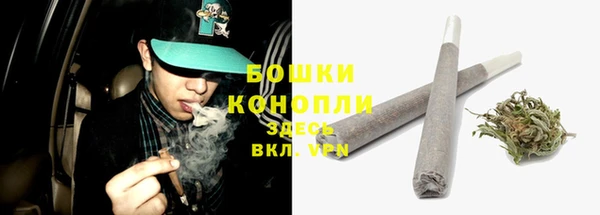 крисы Белоозёрский
