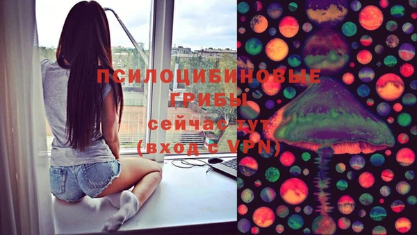 ешки Белокуриха
