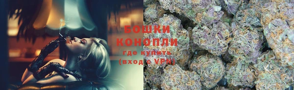 ешки Белокуриха