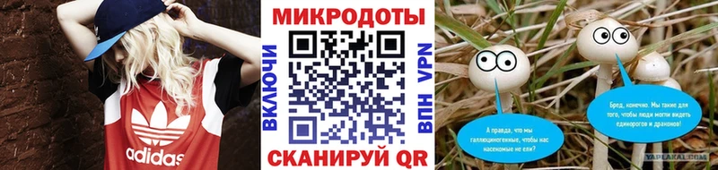 Псилоцибиновые грибы GOLDEN TEACHER  Купить  Алексеевка 